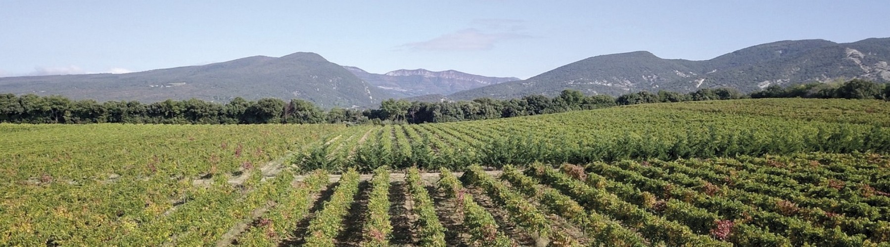 Domaine Gramenon millésimes 2019 à 2021